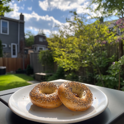 Montreal Style Bagels recipe