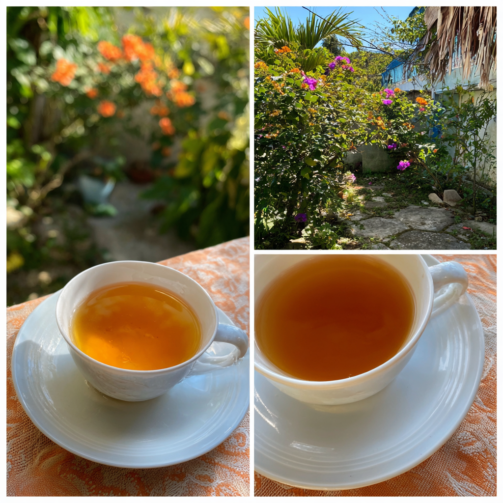 Jamaican Weight Loss Tea