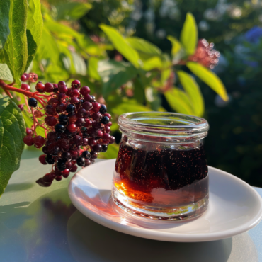 Beautyberry Jelly Recipe